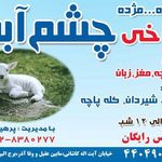 طباخی چشم آبی