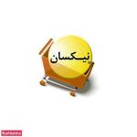 نیکسان رایانه