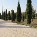 بوستان سهراب سپهری