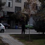 مسکن گوهری