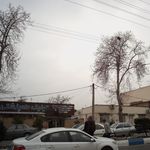 مرکز جامع توانبخشی شفا