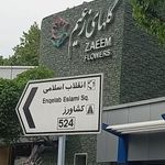گلهای زعیم