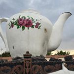 بوستان بانوان
