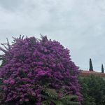 مشاور املاک مهرداد موسویان