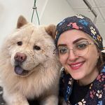 کلینیک دامپزشکی هفال