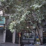 الکترو مجید