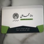 وكيل دادگستری اقای محمدعلی