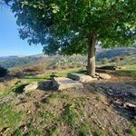قبرستان   گلم بزه دار