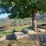 قبرستان   گلم بزه دار