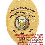 اسکورت تشریفات محافظ شخصی