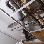 نبی الله ایمانی