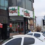 تازه فروشی بامیکا