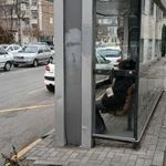 ایستگاه اتوبوس بهاران 4