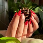 سالن زیبایی ،ناخن تخصصی
