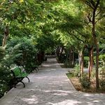 باغ نظر