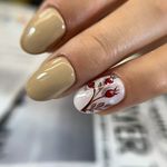 سالن زیبایی الناز آریان