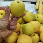 میوه فروشی فردیس
