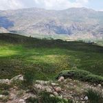 دشت لار