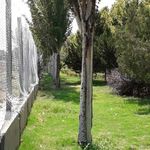 بوستان ولایت
