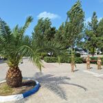 بوستان عدل