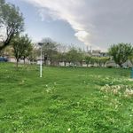 پارک آرام