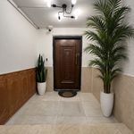 وکیل پایه یک دادگستری