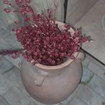 رز آنلاین گل فروشی آنلاین یزد