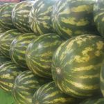 سوپرمیوه اتابک لطفی