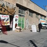کفش جلالی نژادوپسران