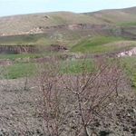 روستای قاسم دره (قاسم درق)