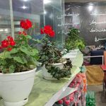 اغذیه سرای خیام