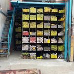 شرکت فولاد مهر سادات