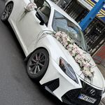 گالری ماهنیز