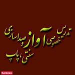 تدریس خصوصی آنلاین آواز