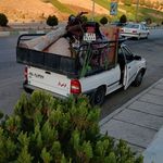 امیر فرض اله قلی