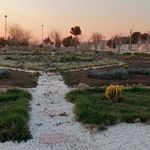 بوستان سبزه الماس