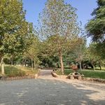 پارک رضوان