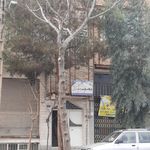 درمانگاه شاهد