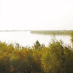 منطقه حفاظت شده حله