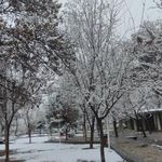 بوستان سلام