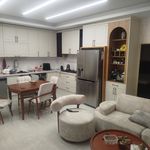 دکوراسیون شاهکار