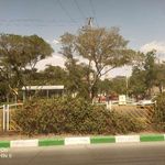 بوستان شمشاد