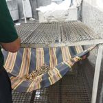 نانوایی سنگک