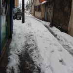 کافه رایان
