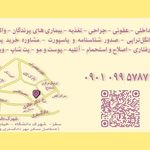 کلینیک حیوانات خانگی لئو