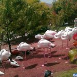 باغ پرندگان قمصر