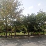 بوستان رز