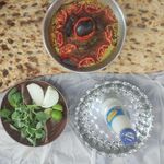 تهیه غذای خوش خوراک
