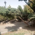 بوستان رز