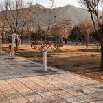 بوستان بنفشه
